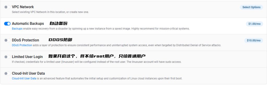 Vultr配置实例额外信息